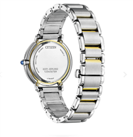 Watch Citizen Woman Arcly in Steel EM1104-83D - EM1104-83D